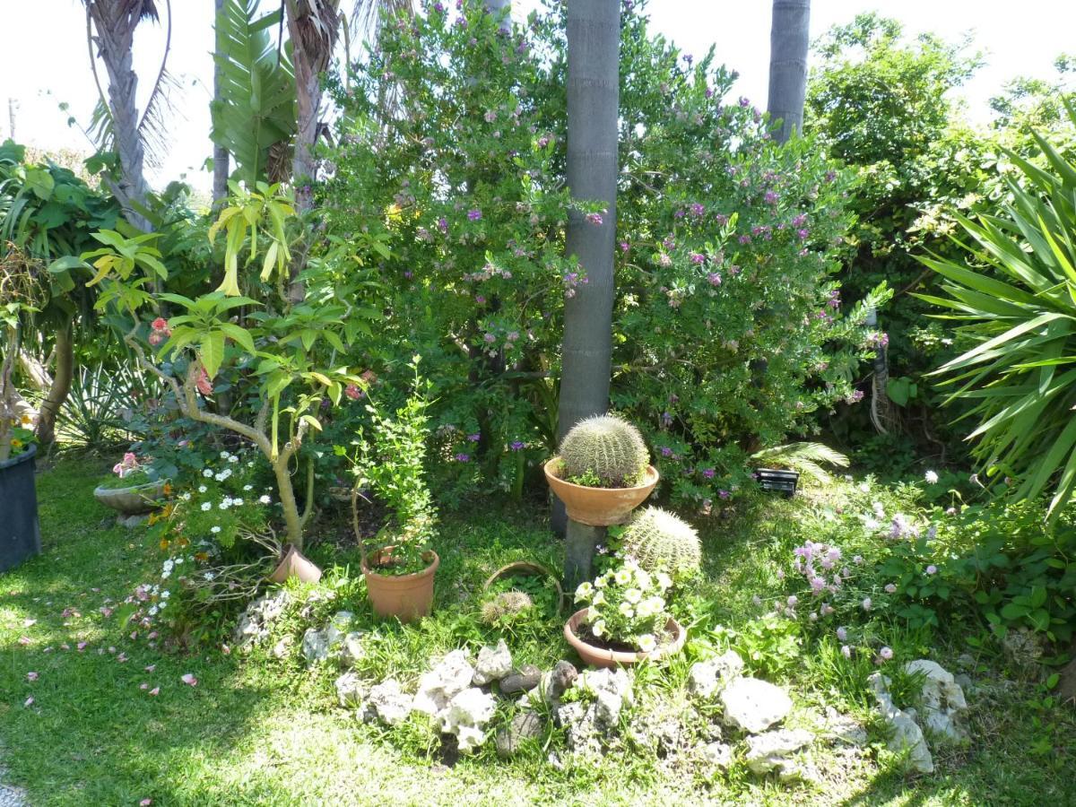Holidaysora Taormina - Il Giardino Di Graziella Екстериор снимка